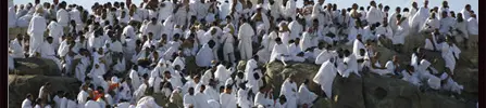 Thumbnail image for Arafat Lundi 15 Novembre 2010, un jour de jeune à ne pas rater