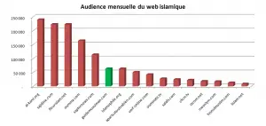 Graphique de fréquentation mensuelle des sites internet français musulmans en Janvier 2010